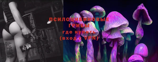 ешки Аркадак