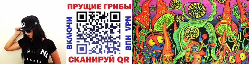 закладки  Прохладный  Галлюциногенные грибы прущие грибы 